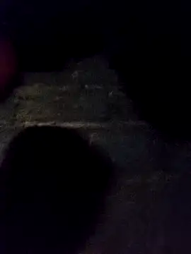 bella-la online show from November 2025 11:25:01 AM