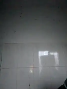 bella-la online show from February 2026 12:04:02 AM