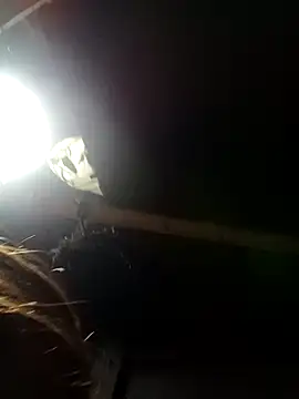 bella-la online show from February 2026 11:14:02 AM