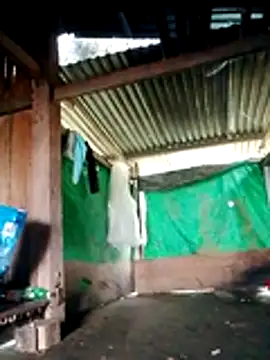 Snapshot of Olivia_pusy chatting on November 2025 02:13:02 AM Olivia pusy online show from November 2025 02:13:02 AM