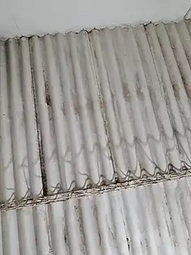 Dirty-Mature-XXX online show from February 2026 12:59:01 AM