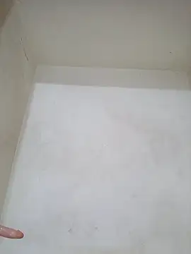 negramenta online show from December 2025 04:23:02 PM