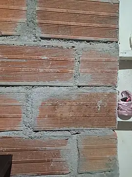 CurvyNoir online show from March 2026 02:50:01 AM