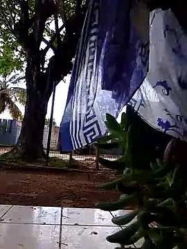 moreninho564 online show from November 2025 04:40:02 PM