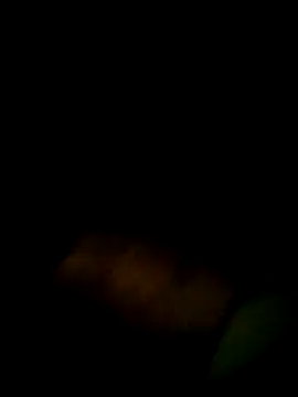 Snapshot of Yerackhip chatting on March 2026 12:47:02 AM Yerackhip online show from March 2026 12:47:02 AM