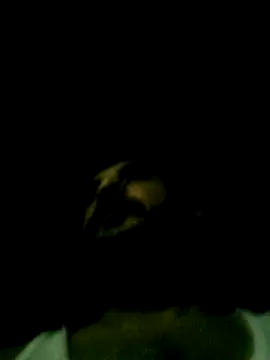 Snapshot of Yerackhip chatting on March 2026 07:46:02 AM Yerackhip online show from March 2026 07:46:02 AM