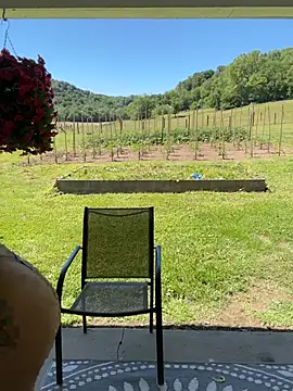 thickfarmtwat online show from June 2026 03:25:01 PM
