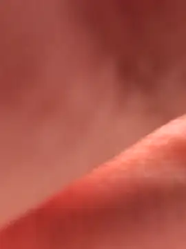 Nikkify online show from March 2026 12:56:02 PM