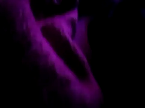 Snapshot of akram306 chatting on November 2025 11:24:01 PM akram306 online show from November 2025 11:24:01 PM