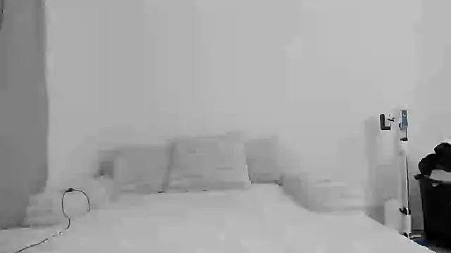 zaylanez online show from November 2025 06:35:02 AM