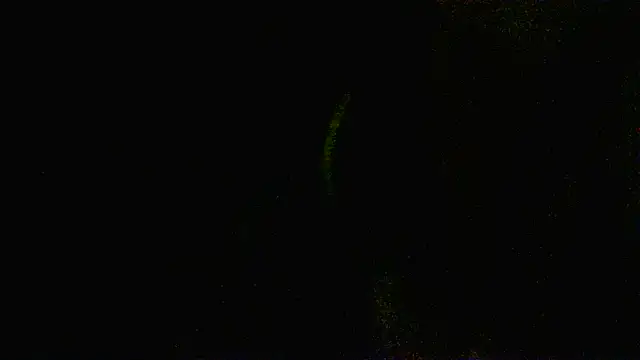Zulreyna online show from May 2026 04:52:01 AM