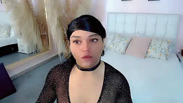 sebastian cruz  online show from February 2026 03:41:02 PM