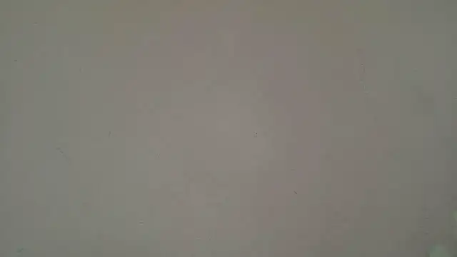 HornyElena online show from July 2026 03:14:02 PM