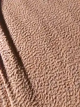 WillfulVideo online show from February 2026 08:07:01 AM