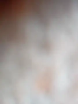 Tayanehot online show from December 2025 09:14:01 AM