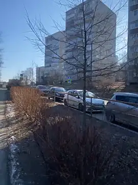 Dona Mafia online show from December 2025 01:57:01 AM