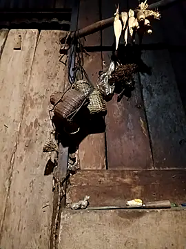 -Chua-90 online show from February 2026 11:36:01 AM