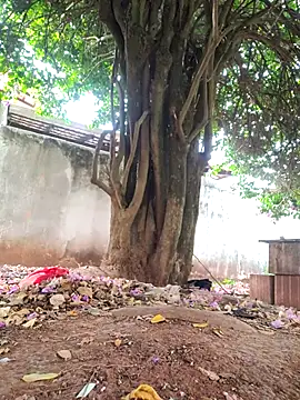 Lucasjandre online show from November 2025 10:14:02 AM