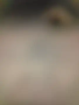 piggylatino online show from February 2026 06:01:02 AM