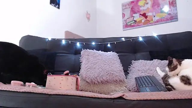 valery carter01 online show from February 2026 06:36:01 PM