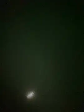 adenn 1234 online show from April 2026 06:47:01 PM