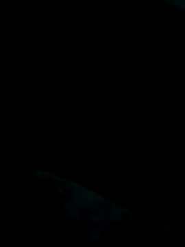 Heterobusca online show from November 2025 07:52:02 AM