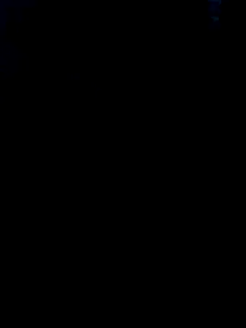 Heterobusca online show from November 2025 08:29:02 AM