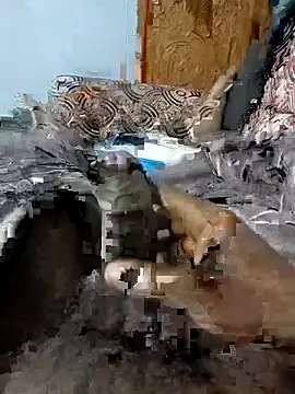 Snapshot of spermc chatting on February 2026 04:10:02 PM spermc online show from February 2026 04:10:02 PM