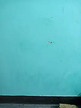 Sexacock01 online show from February 2026 11:16:01 AM