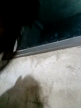 Ava-120 online show from February 2026 03:08:02 PM