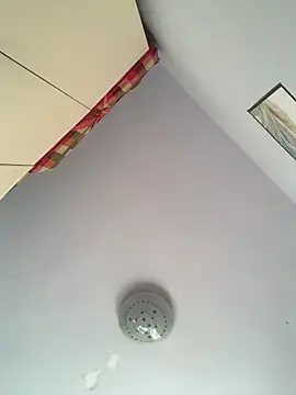 Snapshot of Mistliu chatting on November 2025 05:51:02 AM Mistliu online show from November 2025 05:51:02 AM