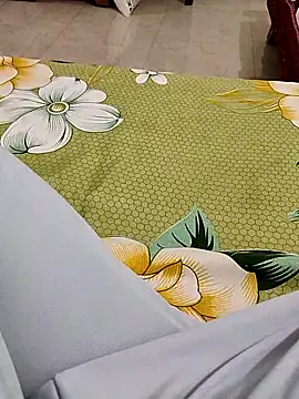 Snapshot of Sagarnp chatting on November 2025 01:33:02 PM Sagarnp online show from November 2025 01:33:02 PM