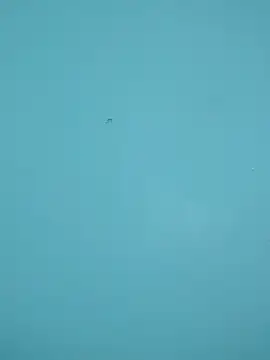 braidqueen00 online show from February 2026 12:18:02 AM