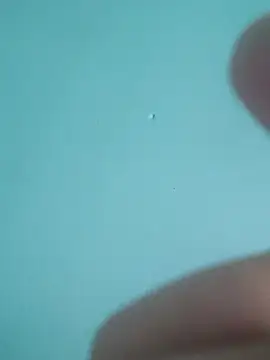 braidqueen00 online show from February 2026 07:54:01 PM