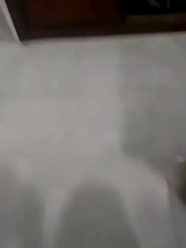 Snapshot of Zaginer chatting on November 2025 10:31:02 PM Zaginer online show from November 2025 10:31:02 PM