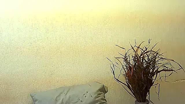 BrunetteNaomi8 online show from July 2026 08:04:02 PM