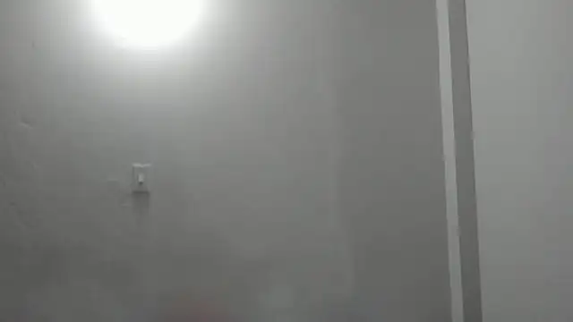 Dio  morningstar online show from February 2026 08:03:02 PM