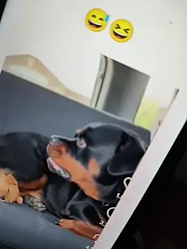 Sainicpl online show from December 2025 01:42:01 PM