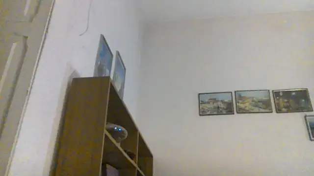 nocosensual online show from July 2026 10:49:02 PM