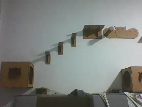 Temp7 online show from February 2026 11:47:02 PM