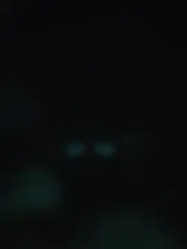00x0x00 online show from May 2026 03:13:01 AM