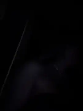 saliha pinky  online show from February 2026 11:44:02 PM