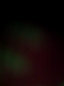 Snapshot of Nandani-758 chatting on December 2025 12:00:02 PM Nandani-758 online show from December 2025 12:00:02 PM