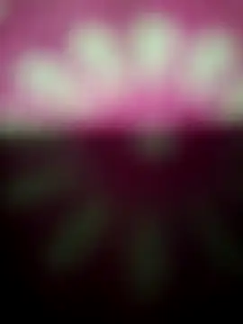 Snapshot of Nandani-758 chatting on December 2025 12:17:01 AM Nandani-758 online show from December 2025 12:17:01 AM