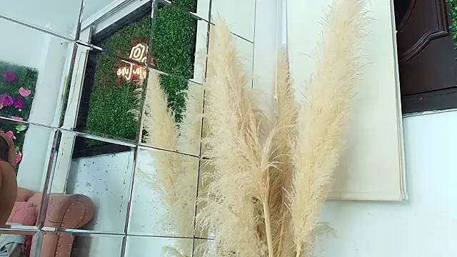 Snapshot of daviana_hill chatting on February 2026 12:08:02 PM daviana hill online show from February 2026 12:08:02 PM