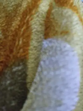 Snapshot of luckyutube chatting on December 2025 03:30:01 PM luckyutube online show from December 2025 03:30:01 PM