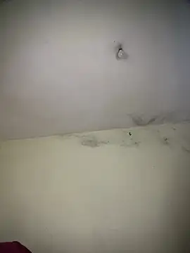 arabayla online show from March 2026 08:48:01 PM