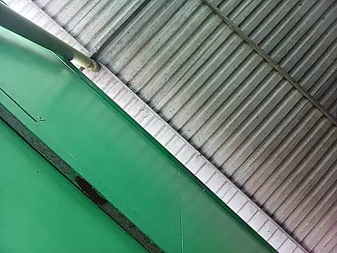 Snapshot of Lin-kute98 chatting on April 2026 12:55:02 AM Lin-kute98 online show from April 2026 12:55:02 AM