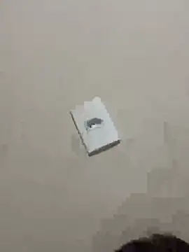 PartiedOmelet online show from January 2026 01:14:01 PM