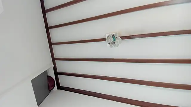 IsaSantoDomingo online show from January 2026 10:52:01 PM